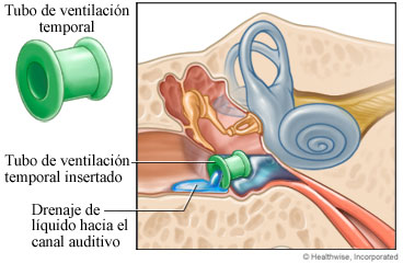 ../images/fdb28d56d16fb96746659a100b0b4e92.jpg