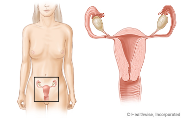 ../images/aa14235f149de74c026c25333bd55b16.jpg