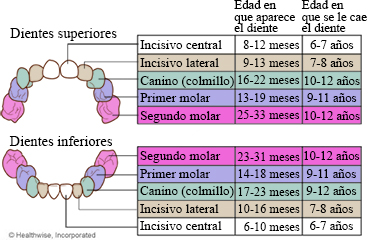 ../images/5b4c36e83c19da4eca9ca288337b06c0.jpg