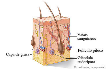 ../images/cdcb32941be11a0f6aae79b79c60aef6.jpg