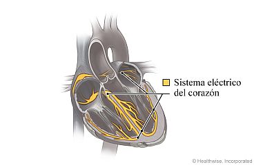 ../images/d10faeae9ee32e5ad599319ab455bdbb.jpg