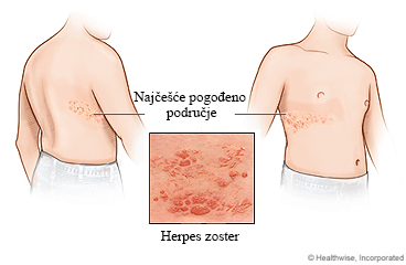 ../images/976dd6a1d460bfd132a35c3d38ee8392.jpg