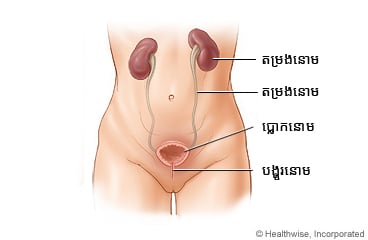 ../images/38e25ac5a03fb35b71315169b48b2827.jpg