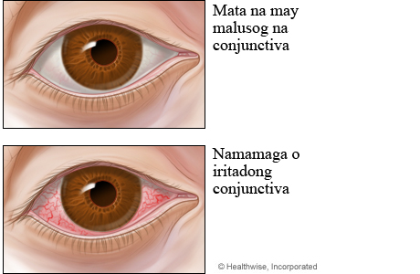 ../images/58c28e4e49411a5d4c694f23ad164d99.jpg