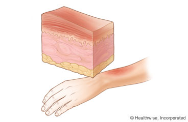 ../images/db4cc632db3ccbdbda7e38585f5d5e57.jpg